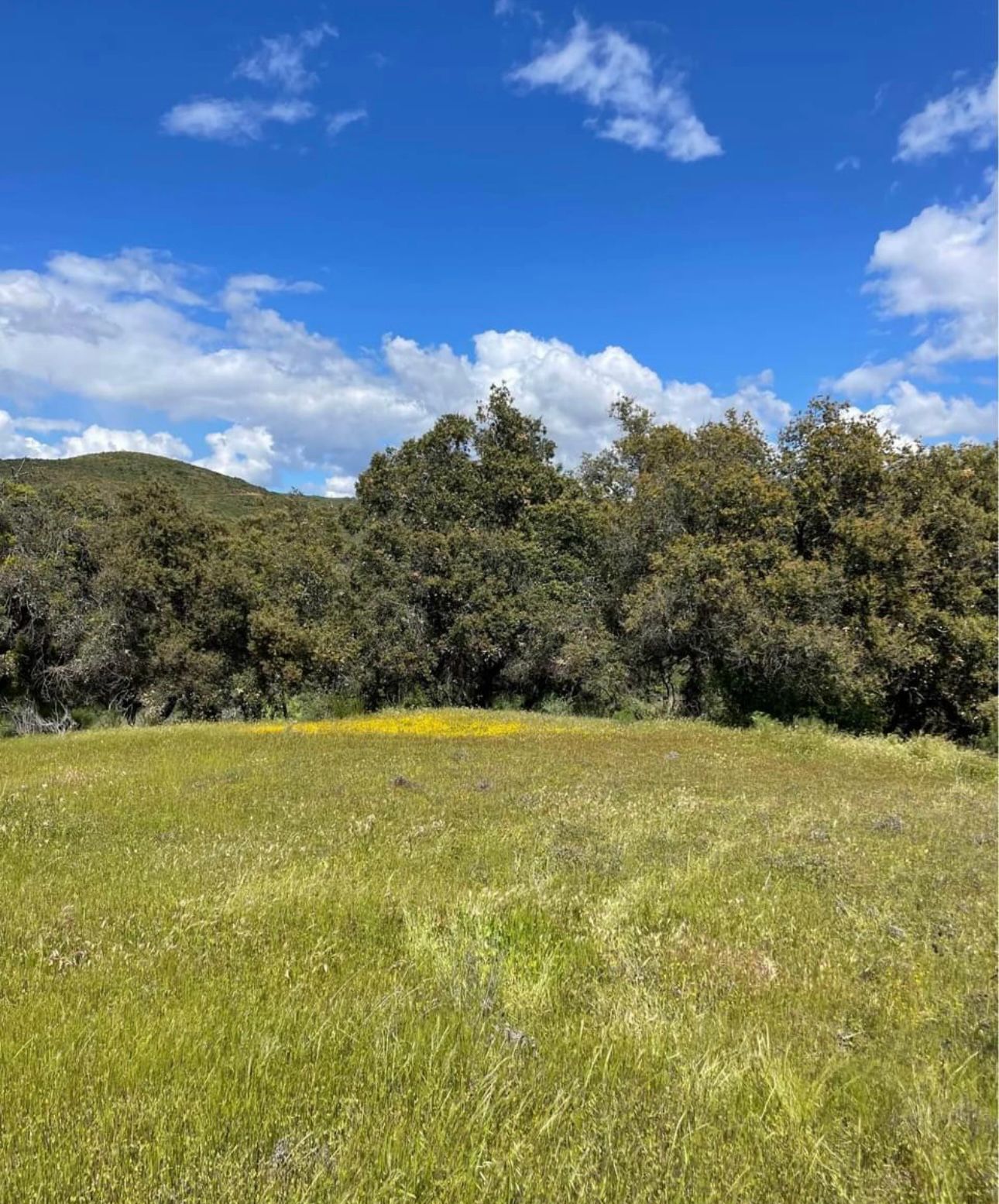 Valley Vista Lot